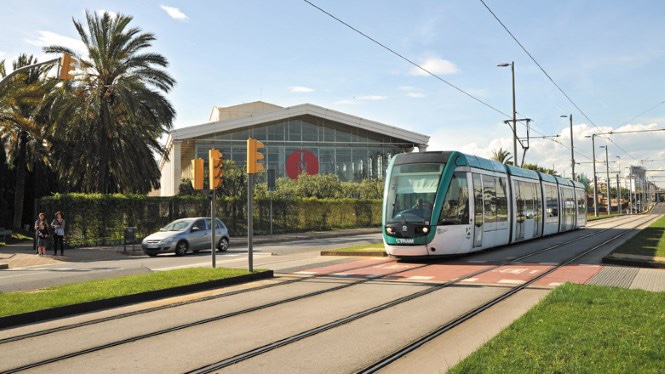 Cómo apostar por la sostenibilidad desde las&nbsp;urbes.